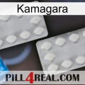 Kamagara 17